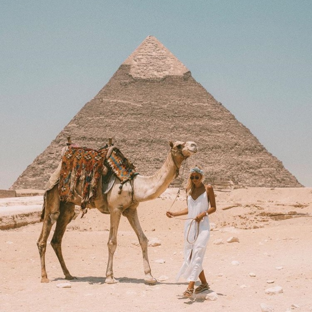 World Traveler Bundle - Picture 8 of 8